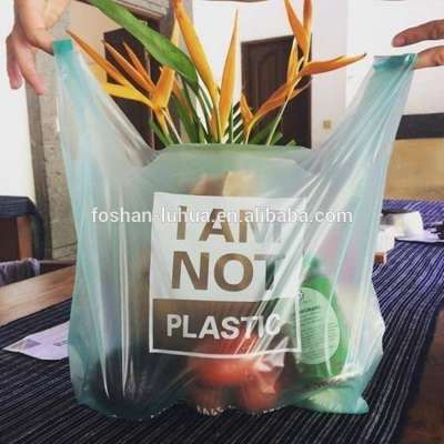 Customized  foldable  Recyclable Biodegradable Plastic Shopping Bag